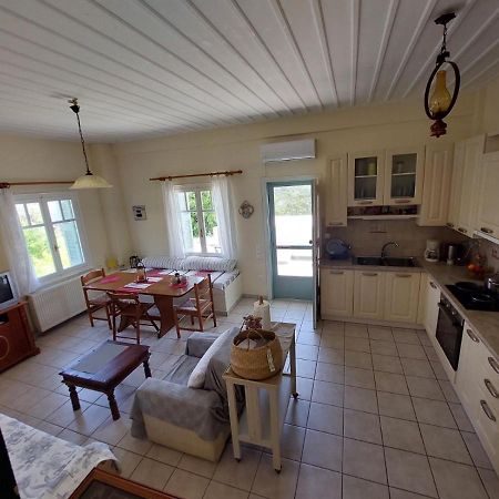 Palaiokrassa sunny appartment Mesaria  Bagian luar foto