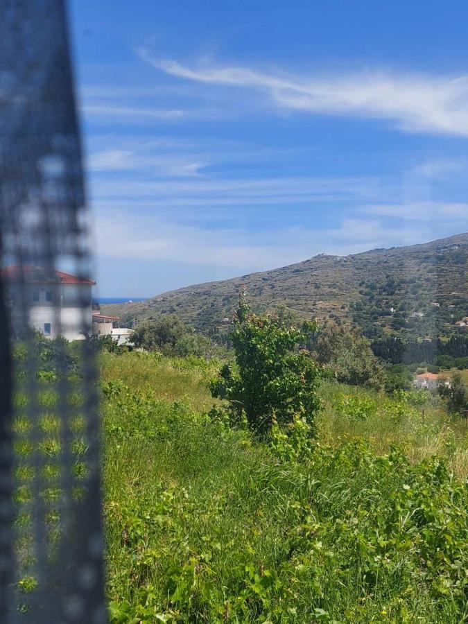 Palaiokrassa sunny appartment Mesaria  Bagian luar foto